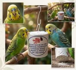 Premium Calcium & Mineral Block - Healthy Beak and Bones for Pet Birds